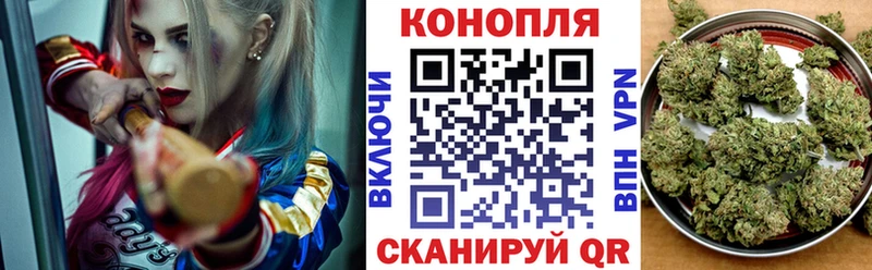 Бошки Шишки семена Болохово